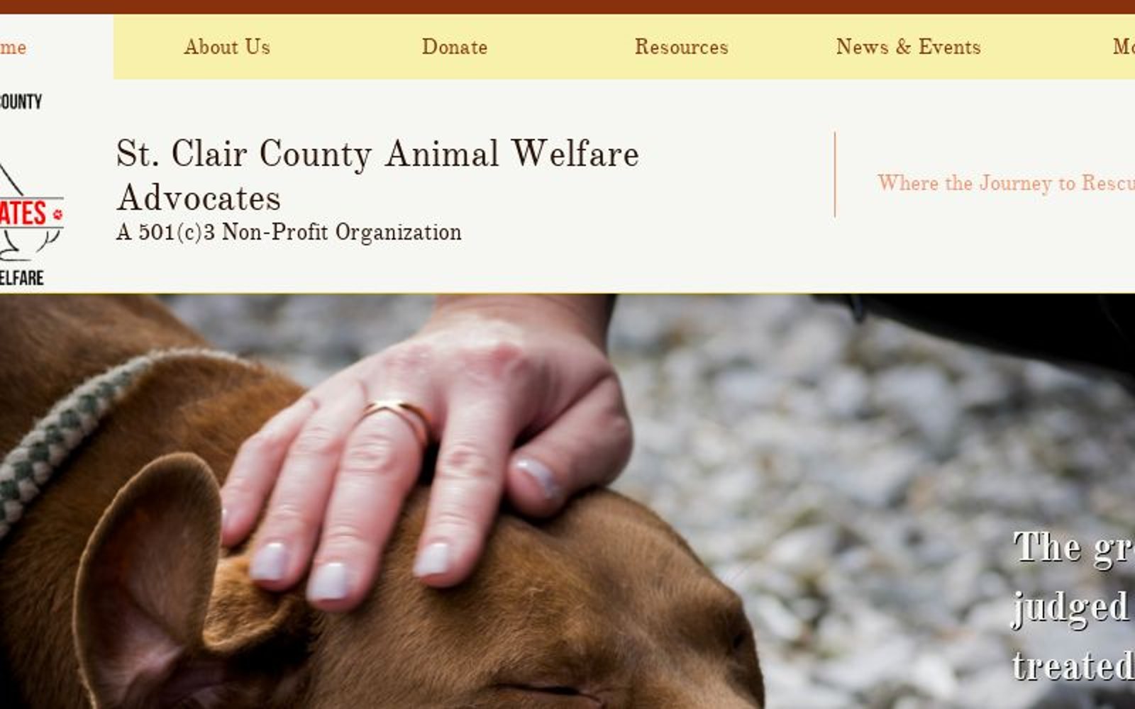 st clair county animal control adoption