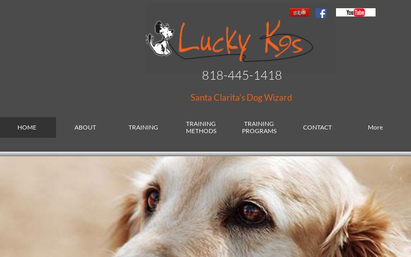 Lucky K9s Dog Education