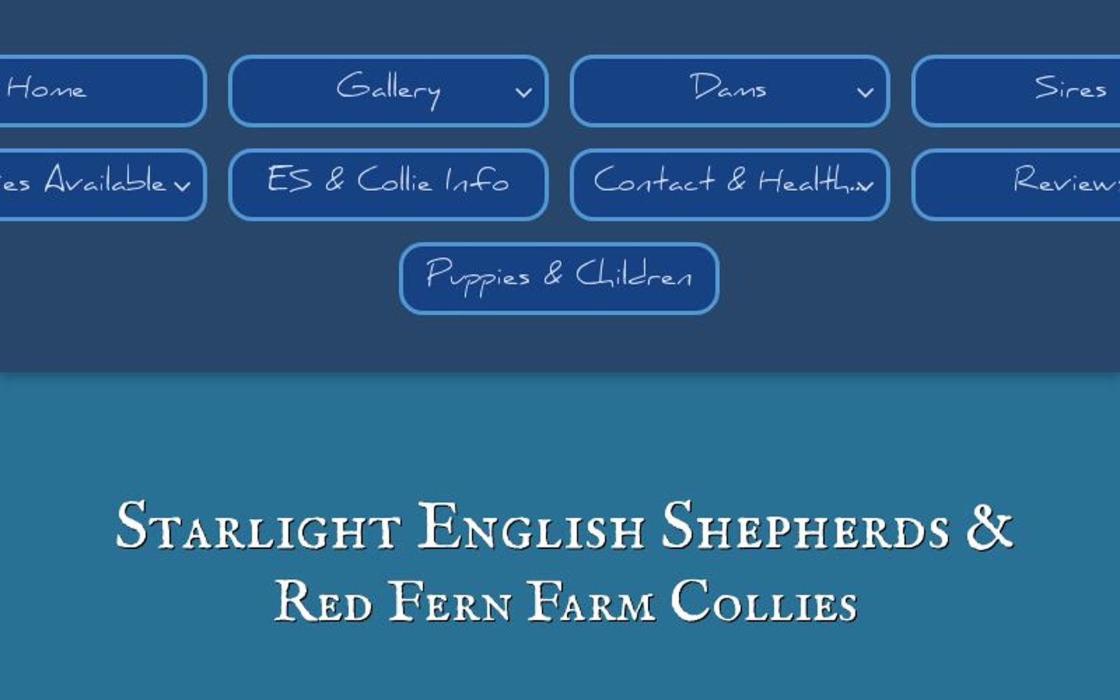 starlight english shepherds