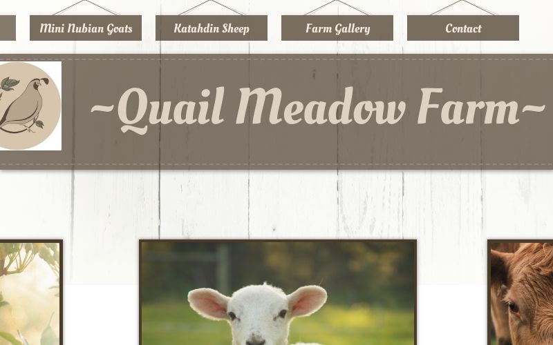 Goats for Sale Santa Cruz County Quail Meadow Farm