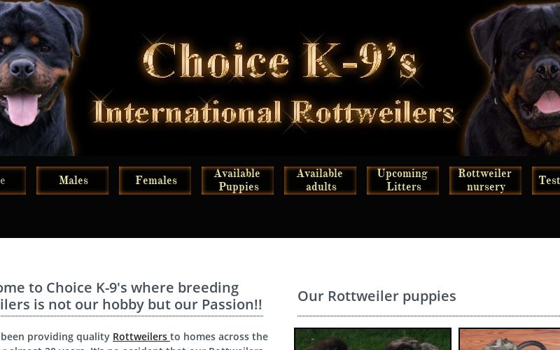 Rottweiler breeder offering German Rottweiler puppies for sale with huge  heads, outstanding temperament and excellent health history.