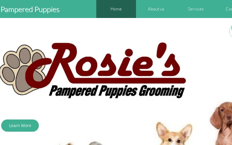 rosie's dog salon