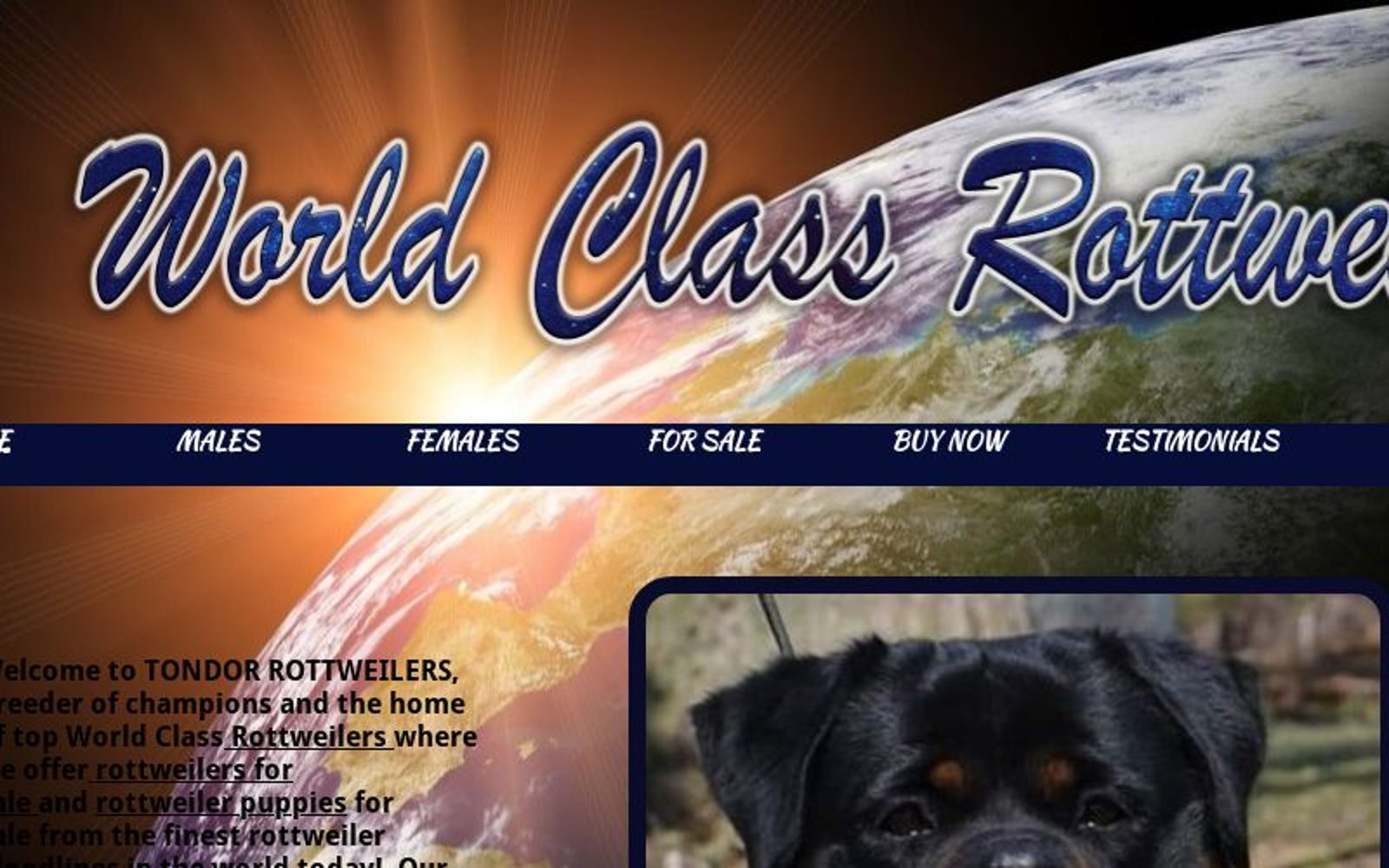 Mini Rottweilers & Mini Boxers  What's Best Audio and Video Forum. The  Best High End Audio Forum on the planet!