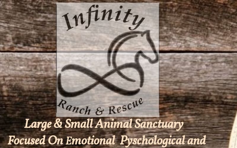 HOME [www.infinityranchandrescue.com]