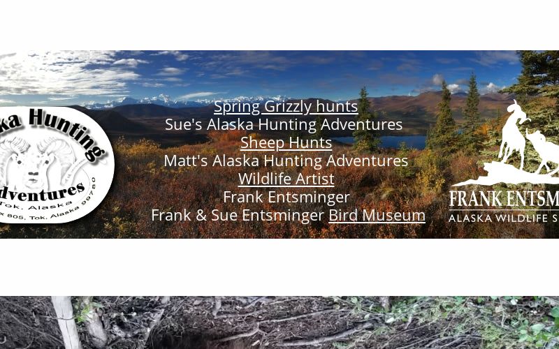 Tok Alaska Dall Sheep hunts, Tok Management Area