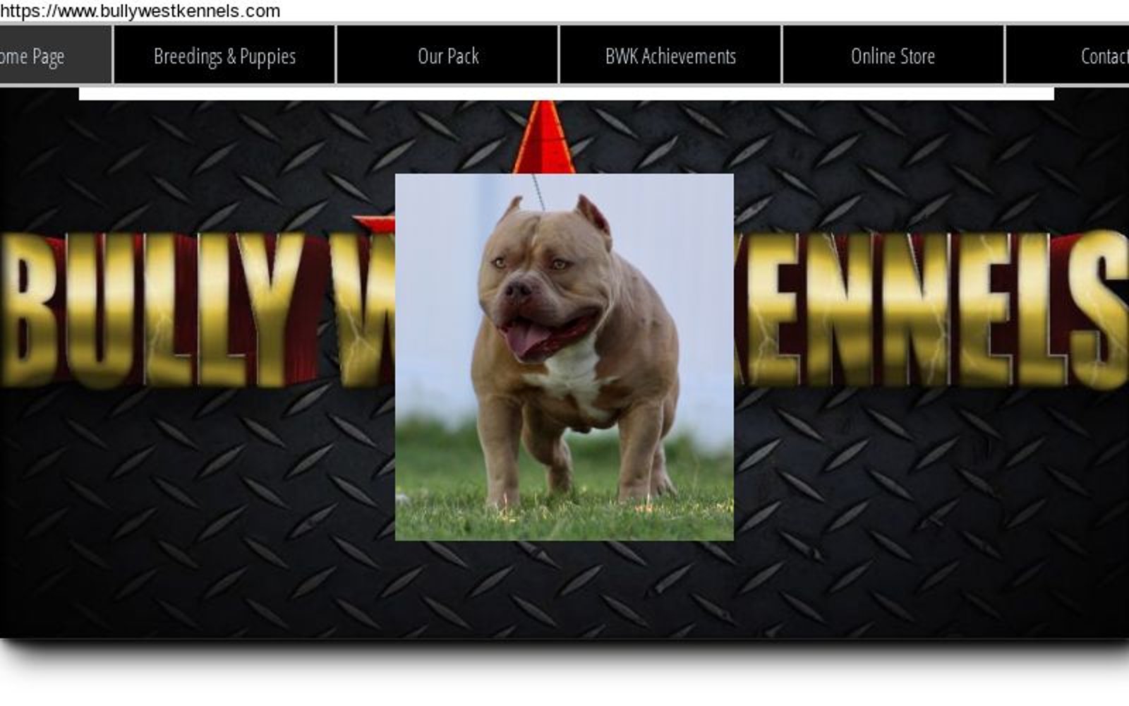 I Am Bully Kennels