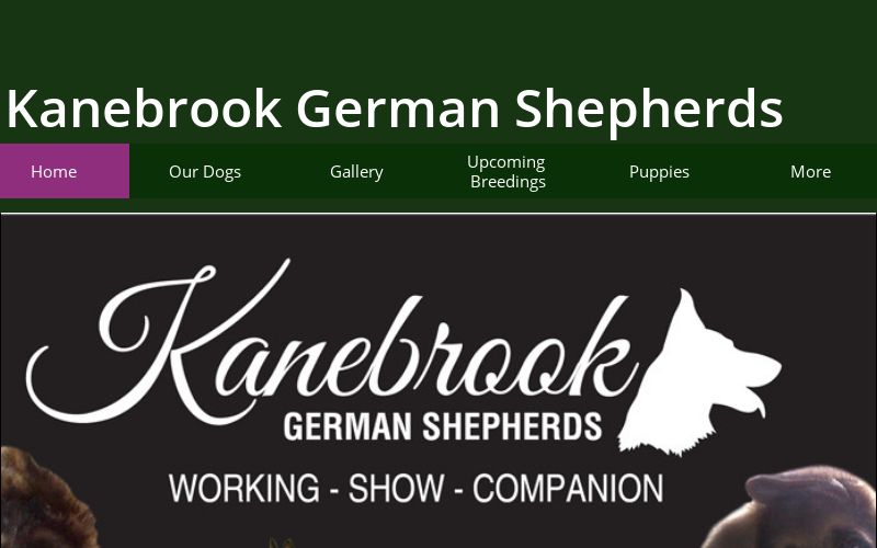 von der nordsee german shepherds