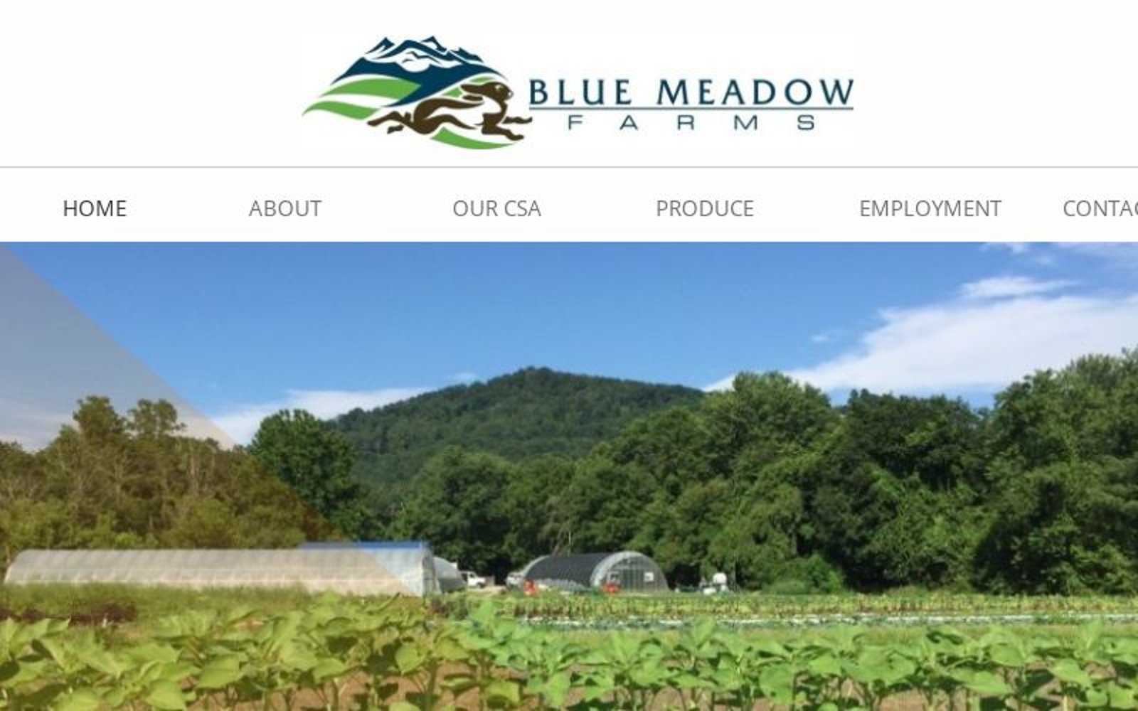 Blue Meadow Farms