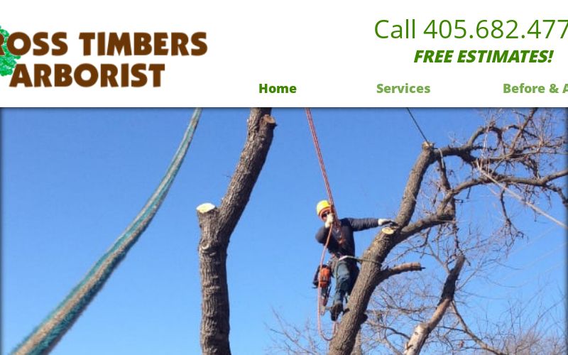 Cross Timbers Arborist | Tree Service OKC & Tree Care OKC, OK