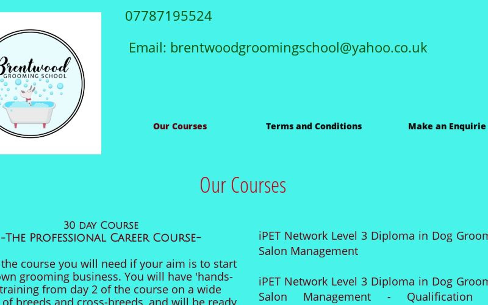 Our Courses