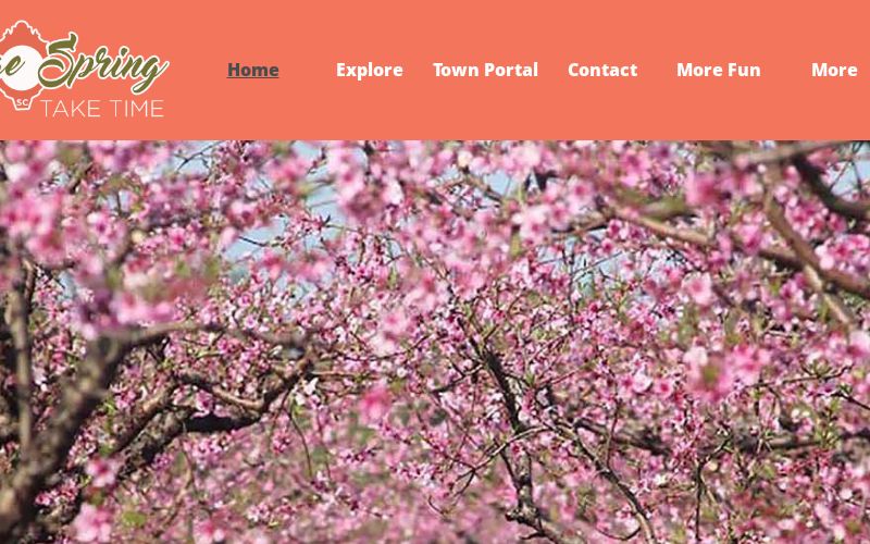 Peach blossoms are in full bloom in Edgefield County, but is it