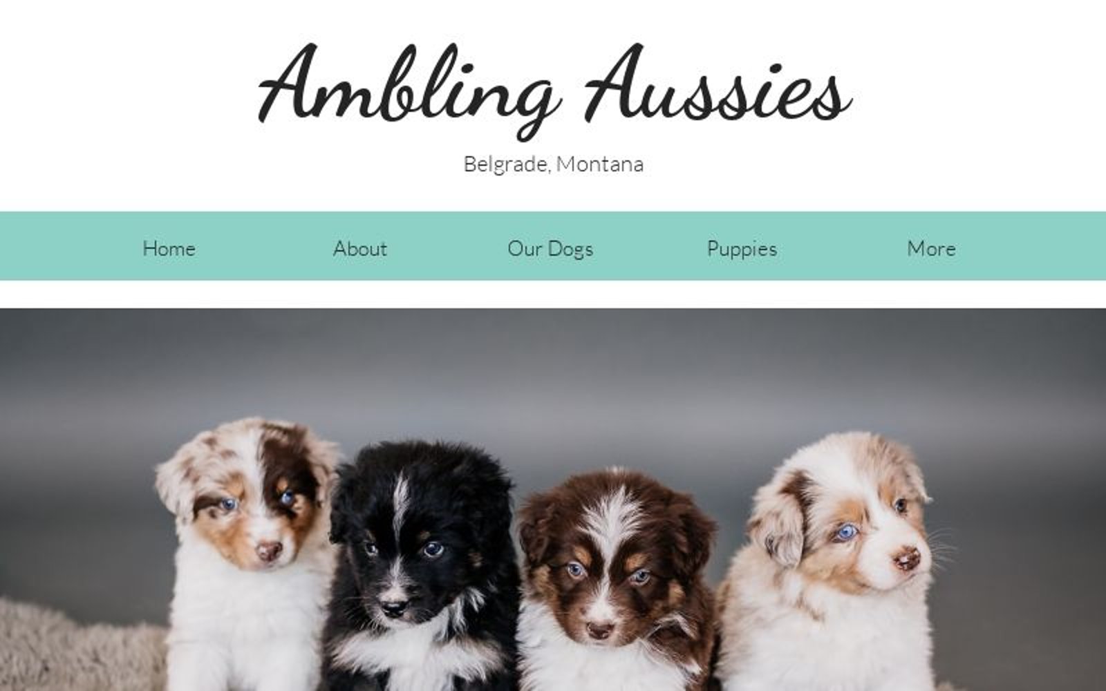 Ambling Aussies