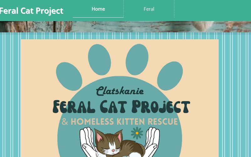 Easy Outdoor Shelter — Feral Cat Coalition of Oregon