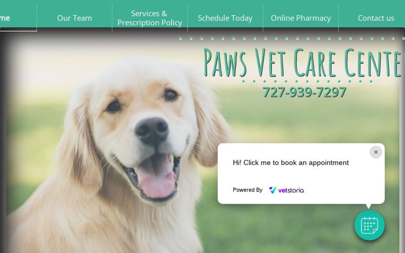 Paw Diseases in Pets - Clairmont Animal Hospital