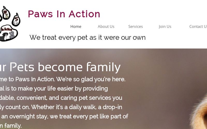 Pet Services Dog Sitting Albuquerque Dog Walking Rio Rancho