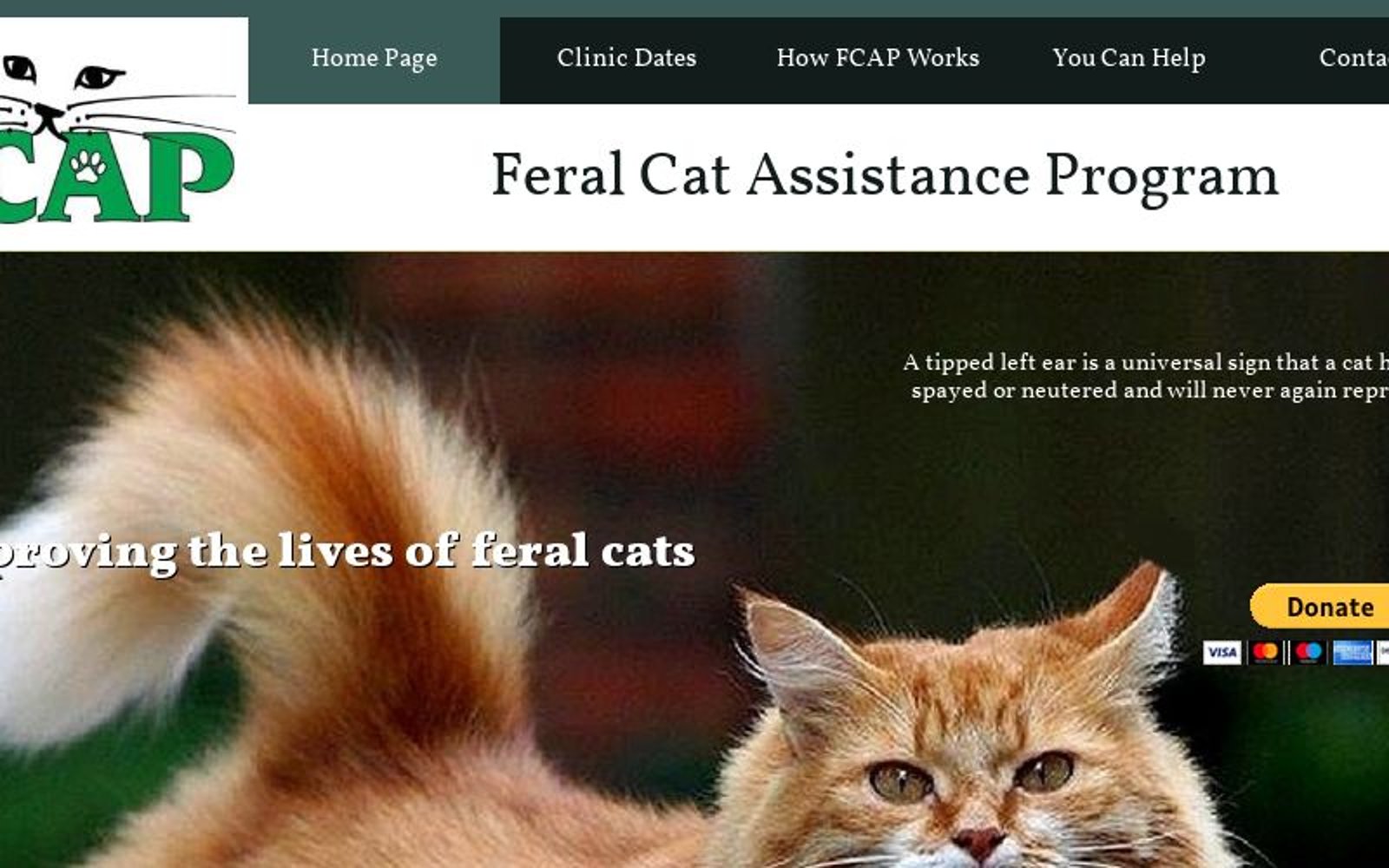 Community / Feral Cat Assistance