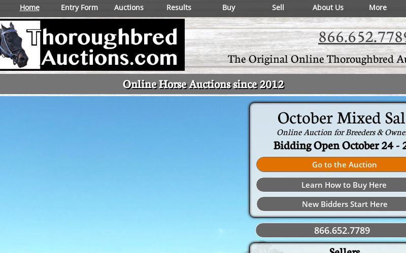Online Thoroughbred Auctions