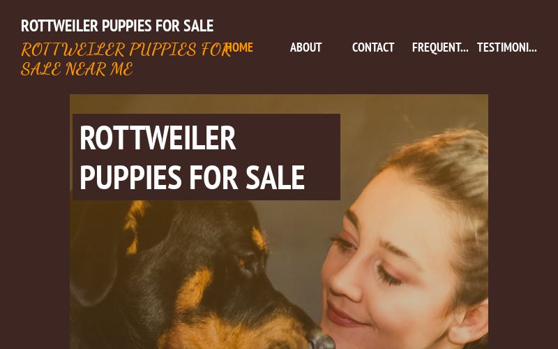 Rottweiler Puppies For Sale Rottweiler Puppies For Adoption Near You