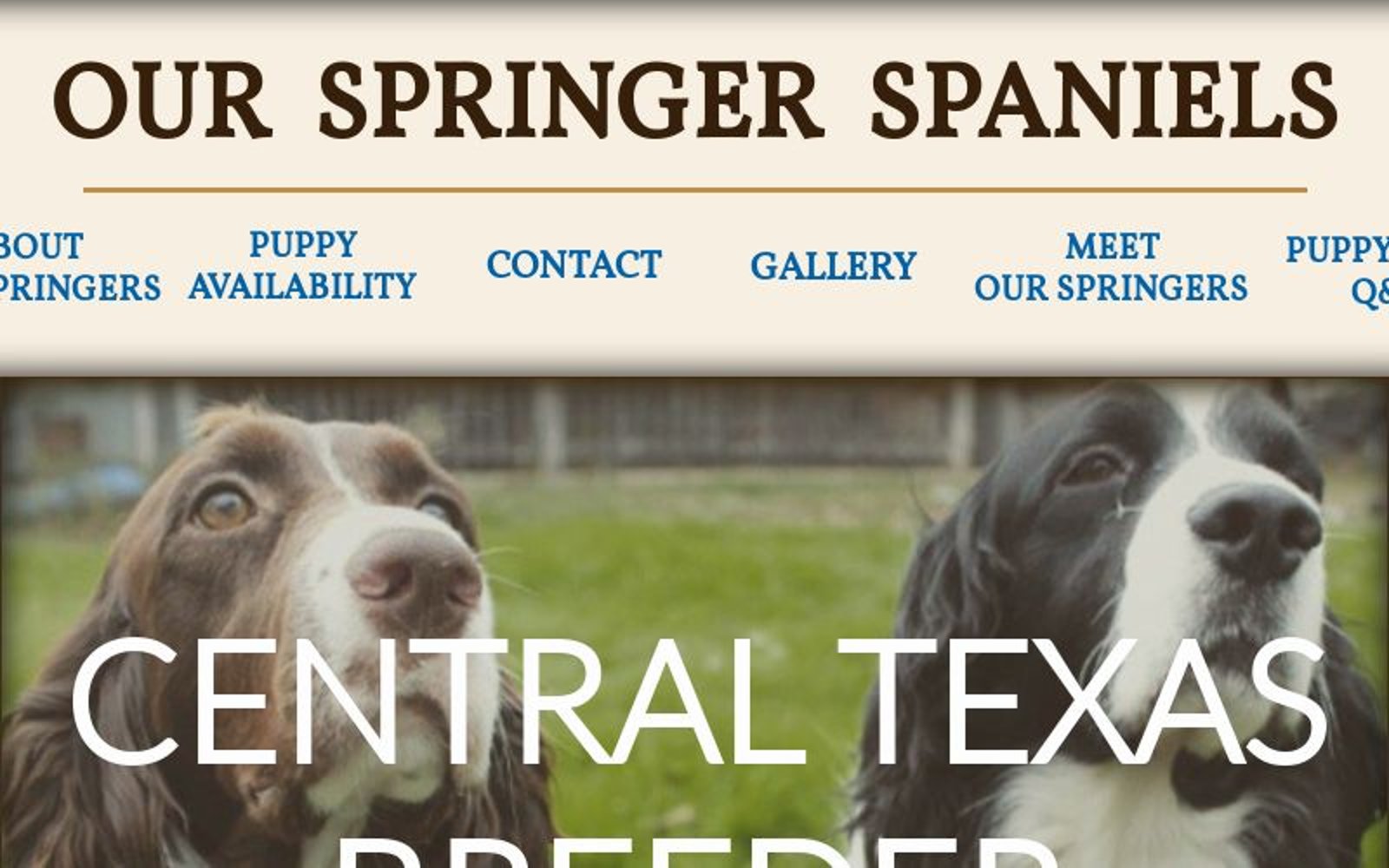 Our Springer Spaniels - Home