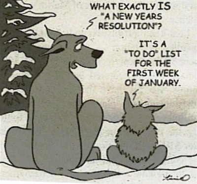 resolution1