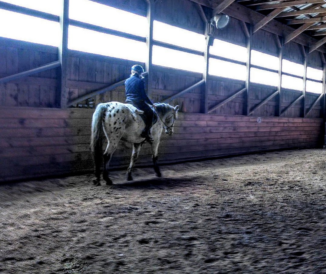 Horseback Riding Lesson near Montville, CT