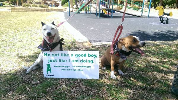 He Sat Like a Good boy