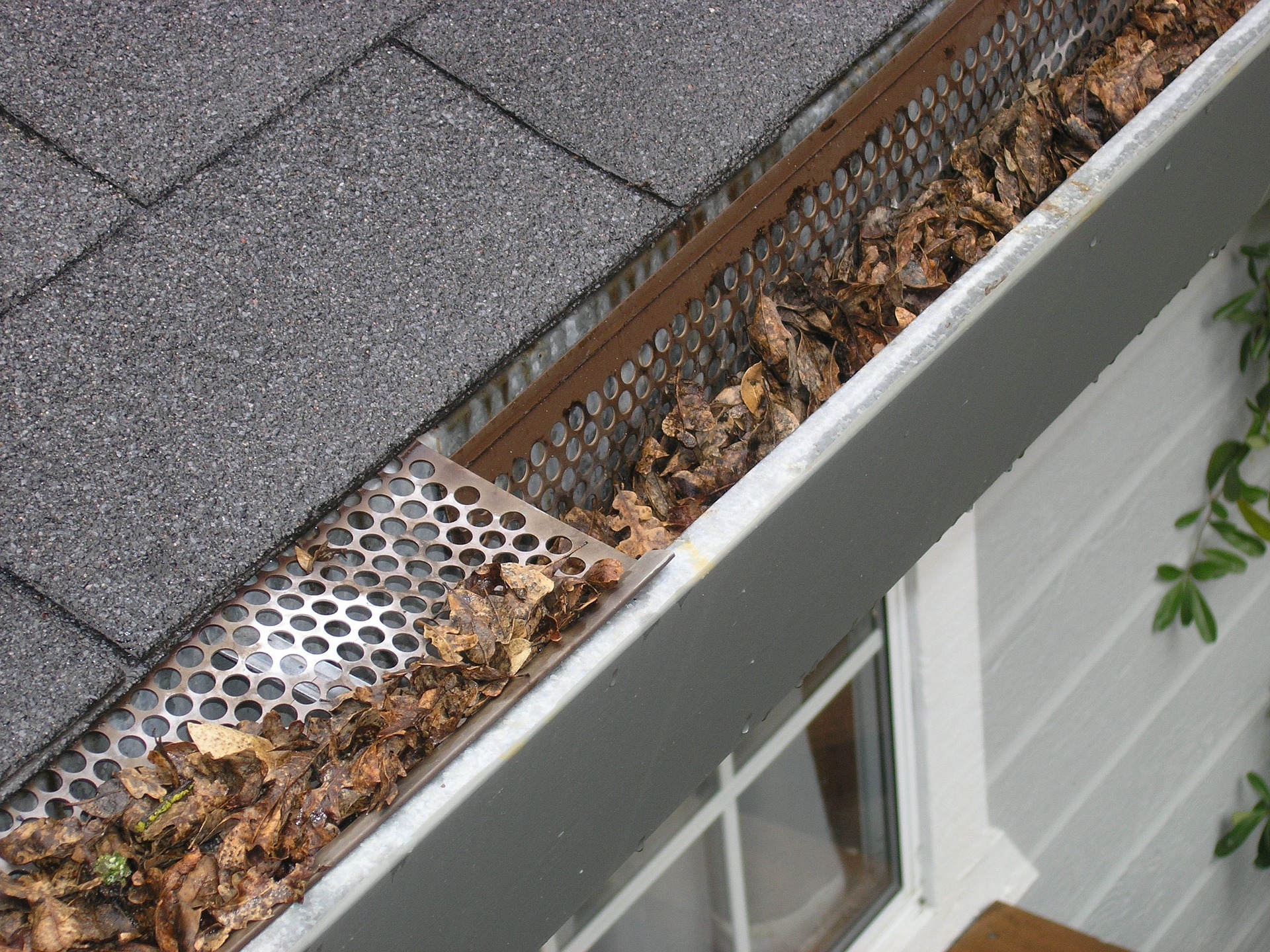 gutter-guard-ipswich-2434467_1920