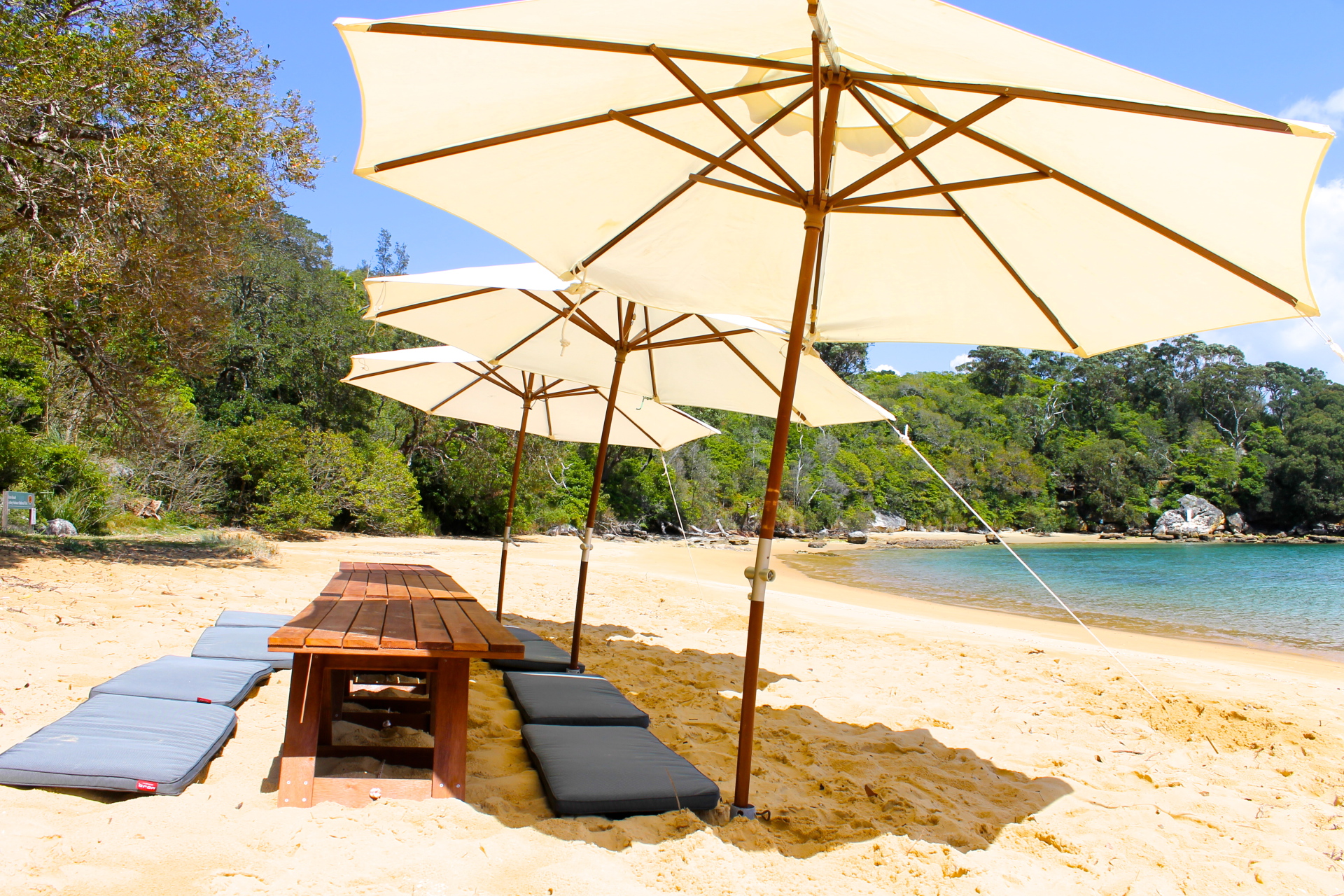 Group Beach Picnics with Great Activites in Sydney