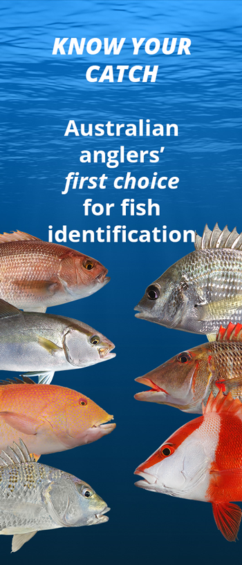 Australian Reef Fish Species Chart