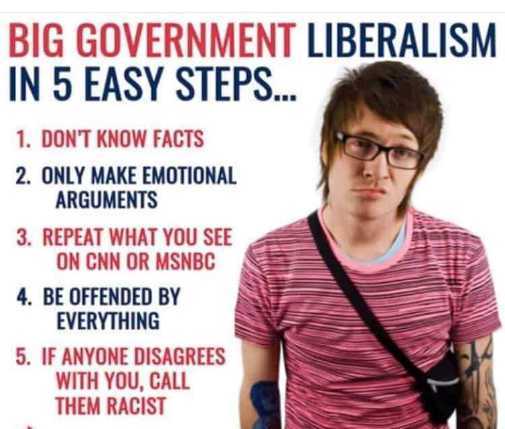 big-government-liberalism-5-easy-steps-c