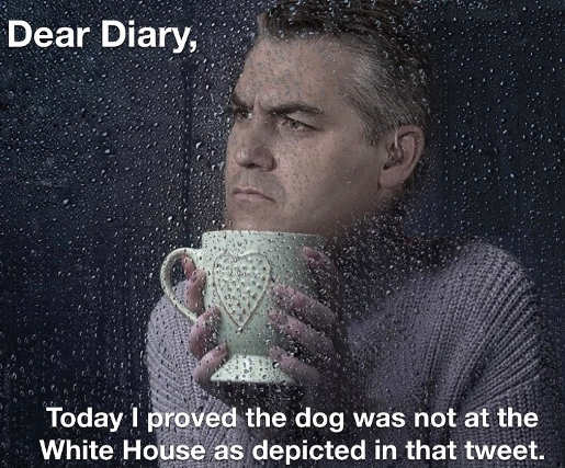 jim-acosta-today-proved-dog-depicted-in-