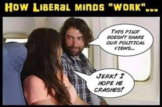 liberal-mind-this-pilot-doesnt-share-our