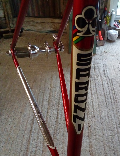 colnago saronni