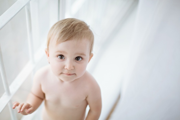 Mastering the Potty:  5 Tips to Potty Training Your Toddler