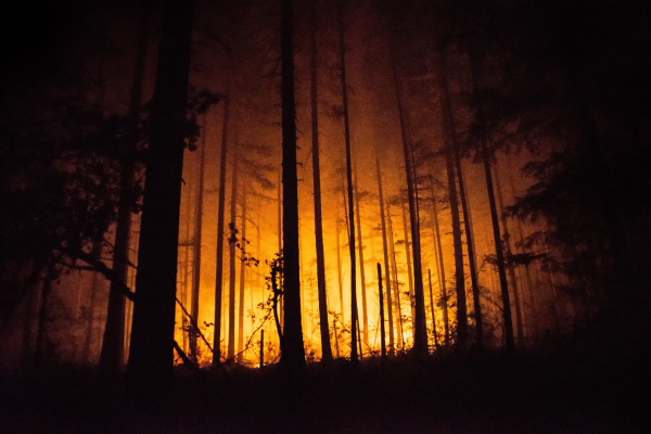 Oregon Forest Fire 36 Pit Fire