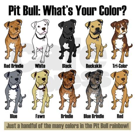 Pibull-Color-Chart.jpg