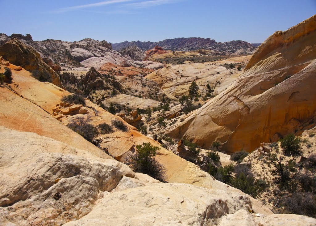 the cockscomb and yellow rock