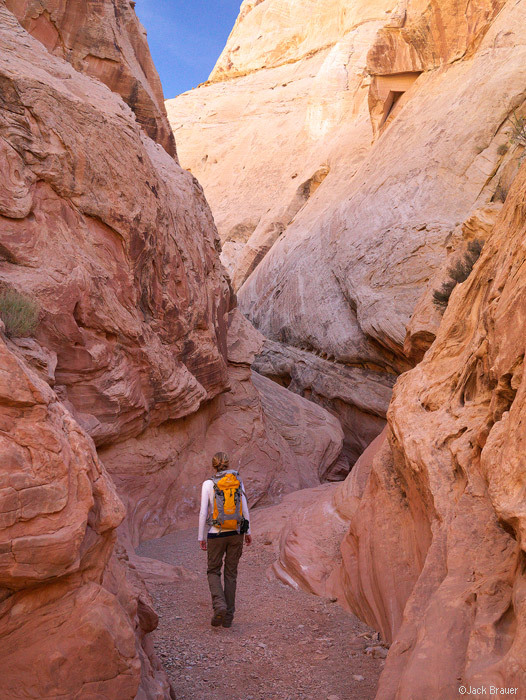 Top 5 Backpacking Trips in Grand Staircase-Escalante National Monument ... - San3