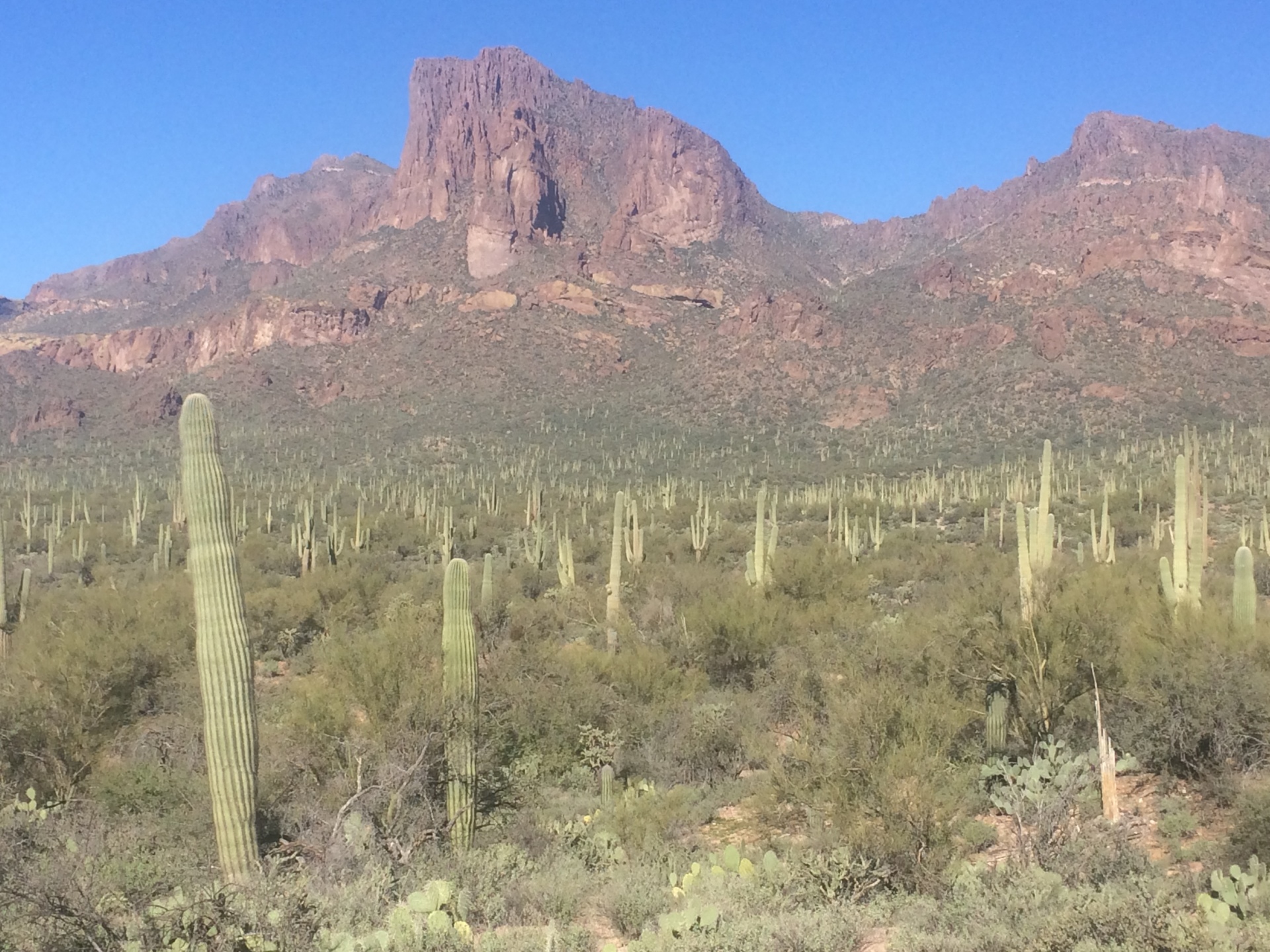 The Superstition Mountains Legends, History, and Lost Gold Mines