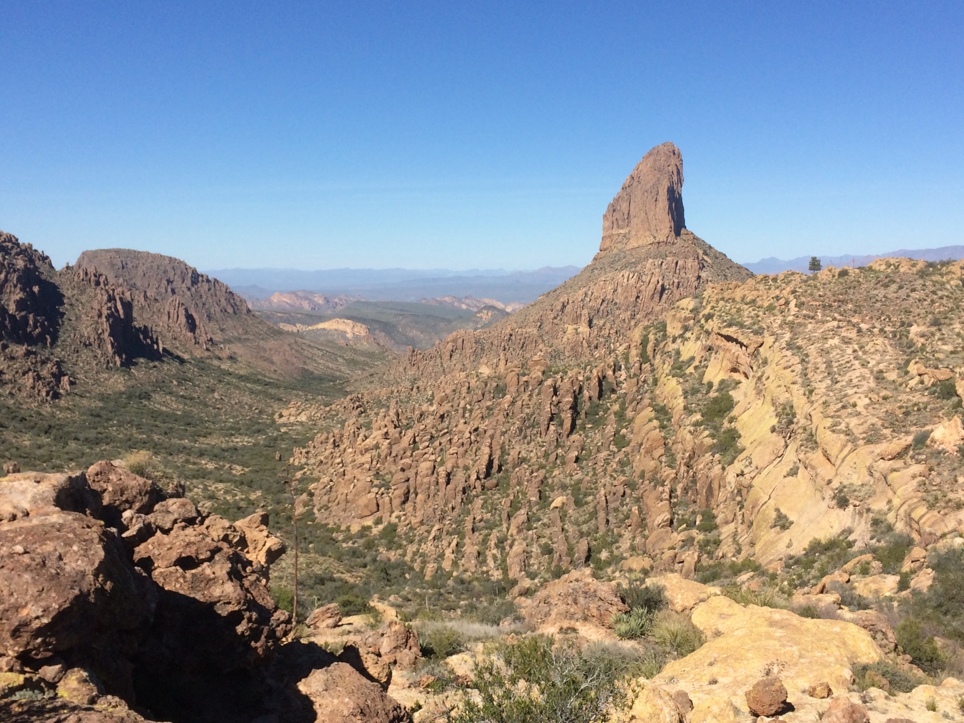 Weaver's Needle Superstition Wilderness