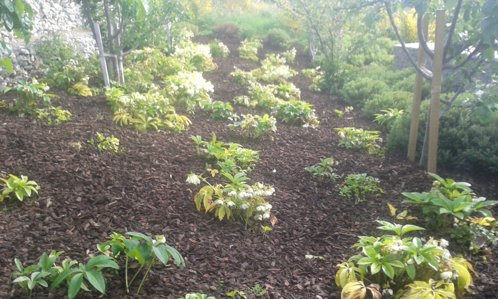 Cromwell, Queenstown, Wanaka, Alexandra, Landscaping, Bark Blowing, Landscaper, Erosion Control, Parks, Gardens