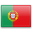 Portuguese Translation