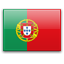 Portuguese Translation