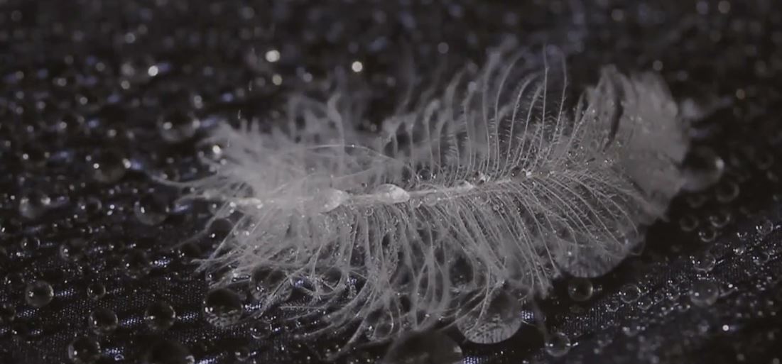 Do not try this at home!