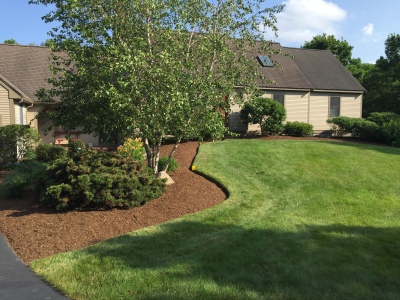 Landscaping Lawn Mowing Services In, Go Green Landscaping Scituate
