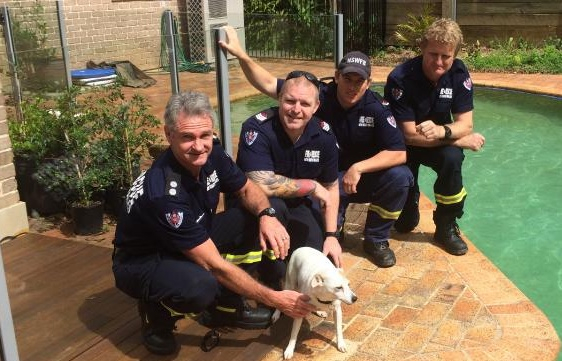Beecroft Fire Brigade