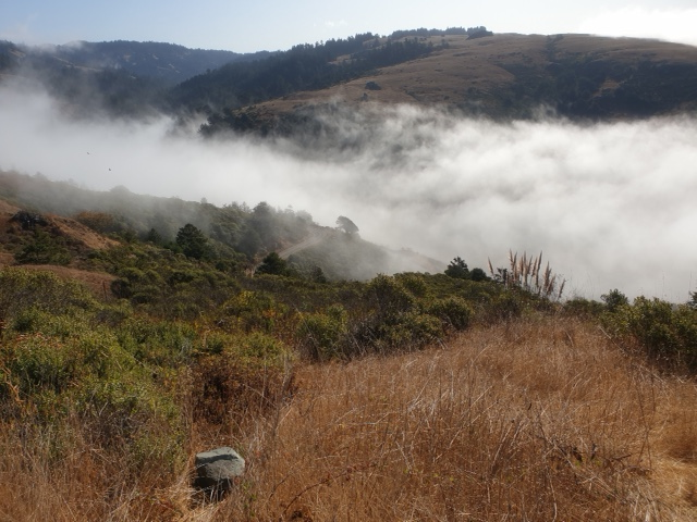 Mist.png