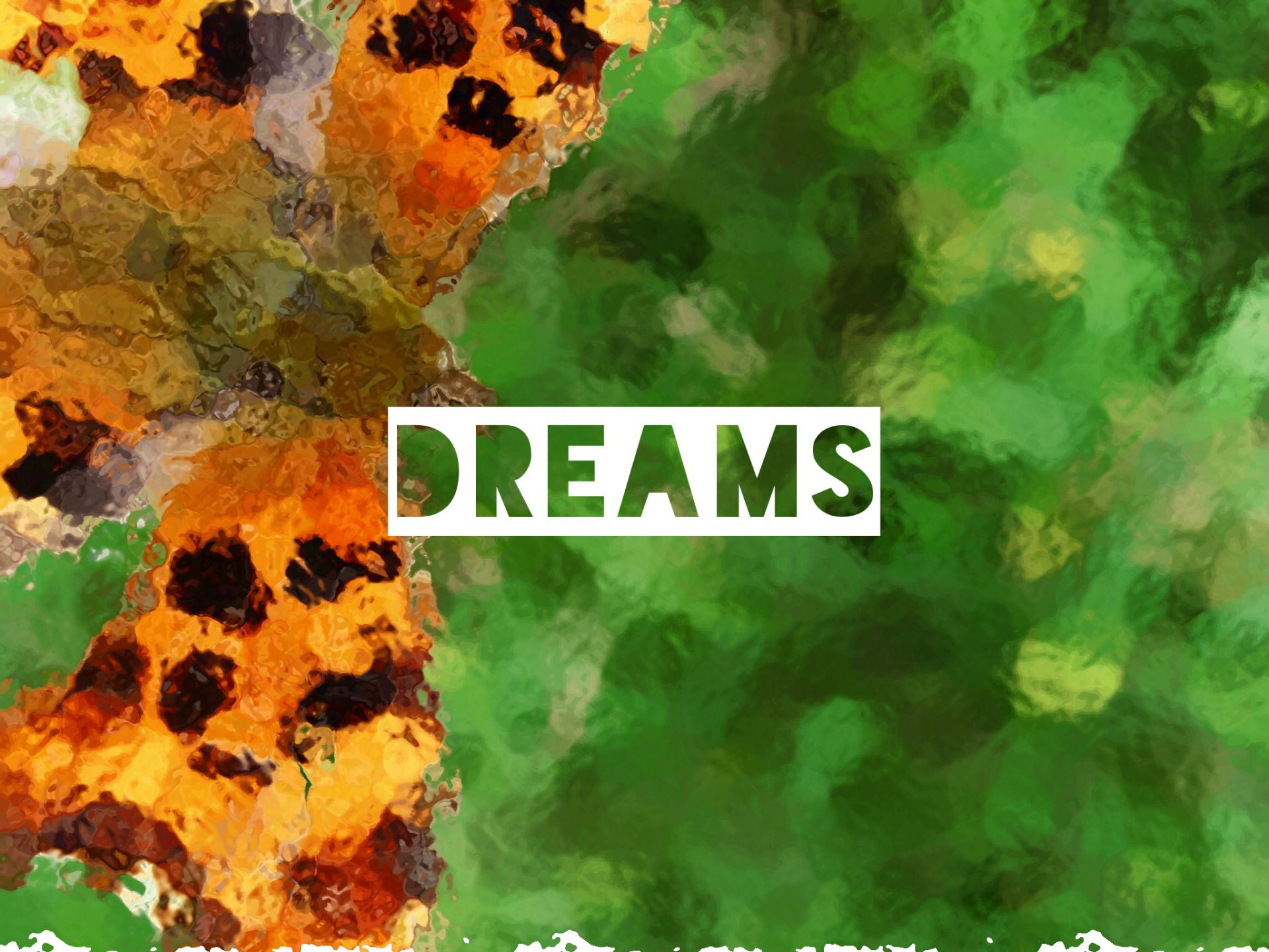 Dreams can be doorways to understanding