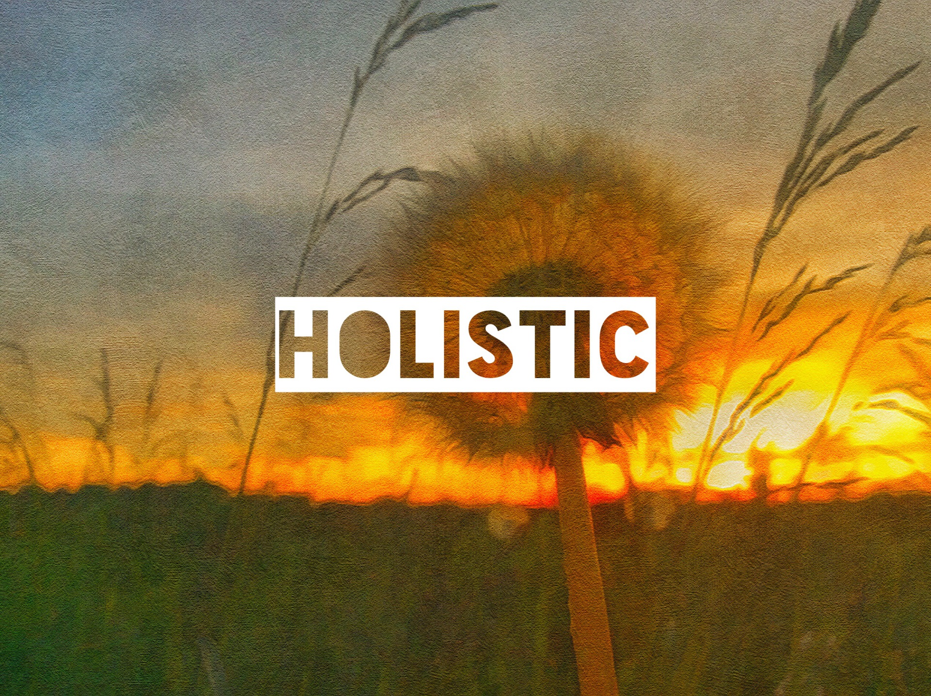A holistic approach to change - part 1