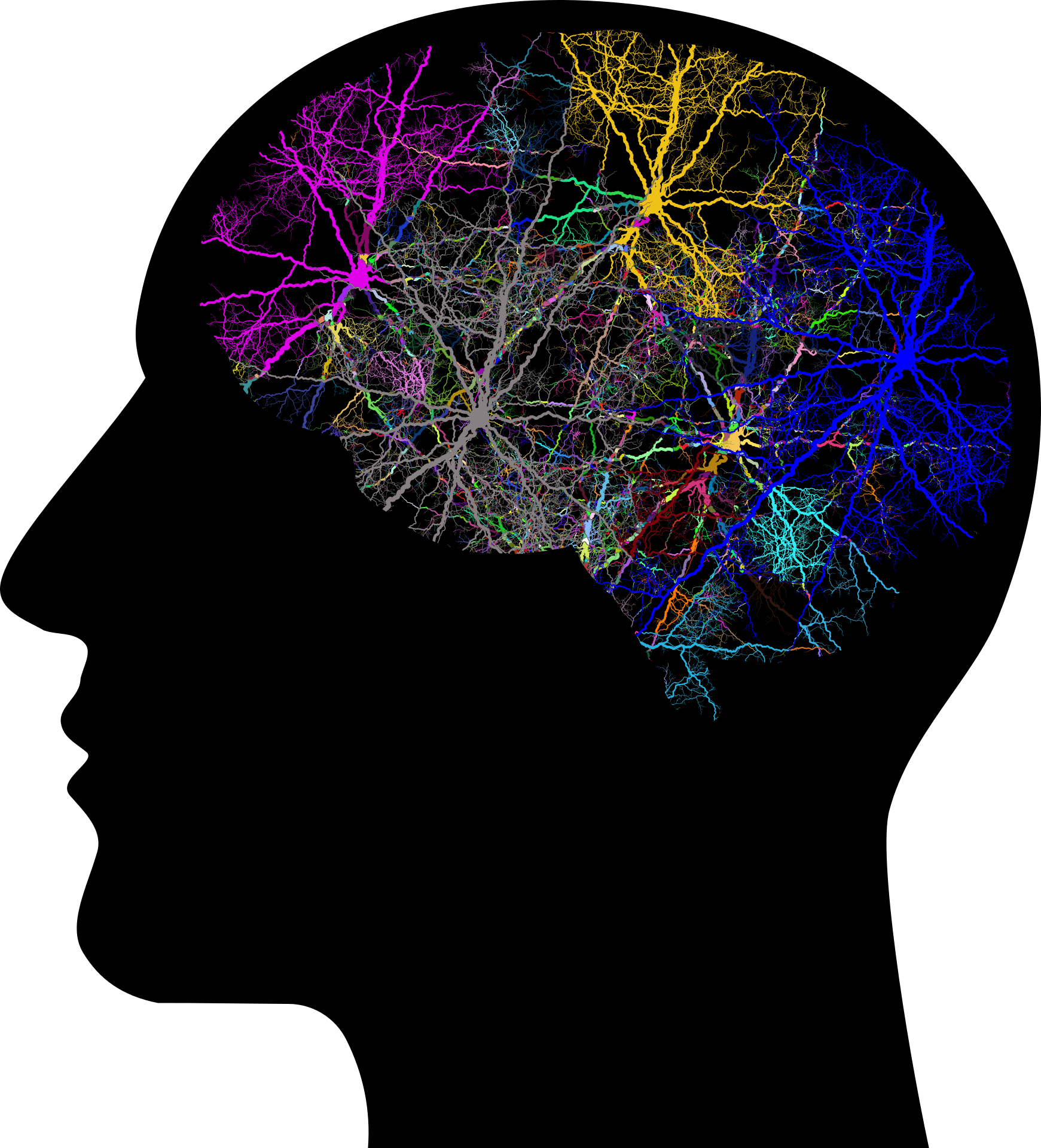 cranium-3244118